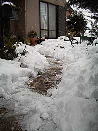 c0045882_22455221.jpg