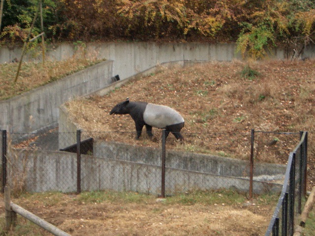 a0023189_14205716.jpg