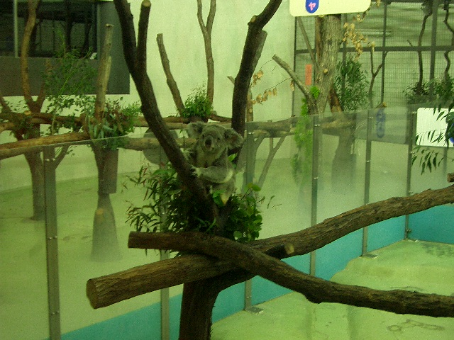 a0023189_14213870.jpg