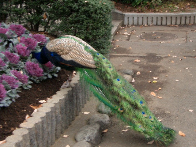 a0023189_14215683.jpg