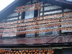 c0000093_14385869.jpg