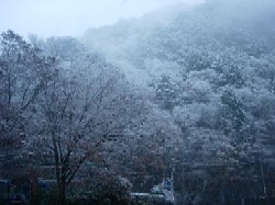 c0000093_14403330.jpg
