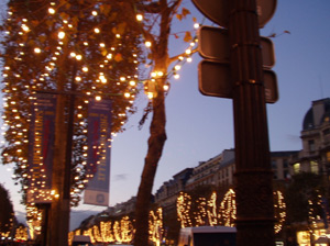 a0060003_9444478.jpg