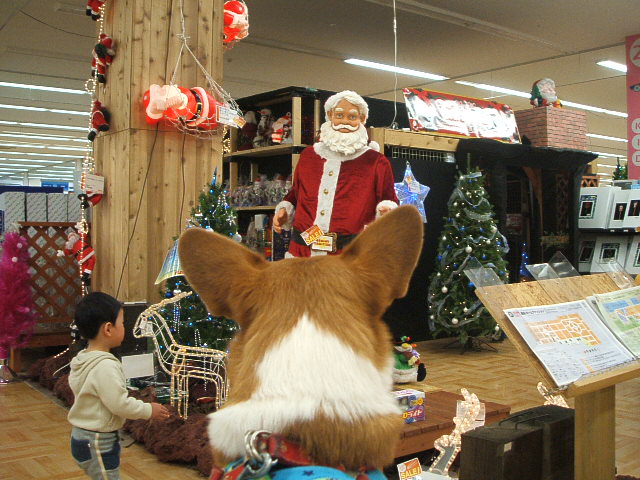 a0024004_21464495.jpg