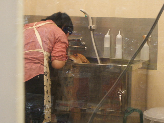 a0024004_21515475.jpg