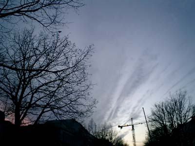 e0038811_291918.jpg