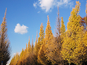 d0042618_23513313.jpg