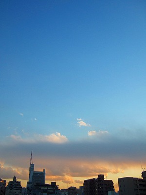 a0034419_16232228.jpg