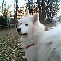 e0006428_18375721.jpg