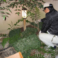 d0033734_1215485.jpg