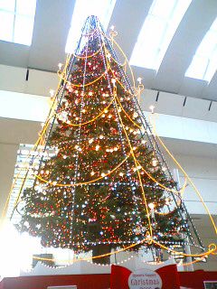 e0076736_20016.jpg