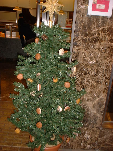 c0071545_811145.jpg