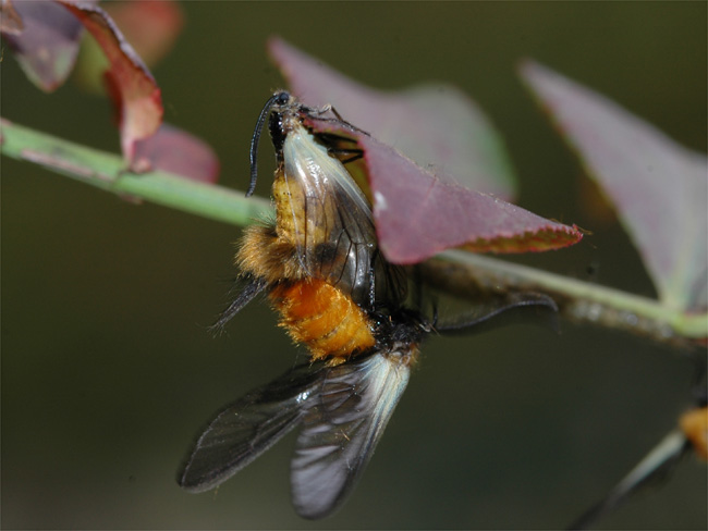 d0009773_918886.jpg