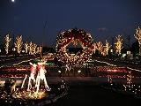 a0035678_22706.jpg