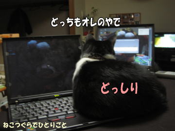 b0041182_1071412.jpg