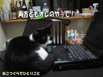 b0041182_1072811.jpg