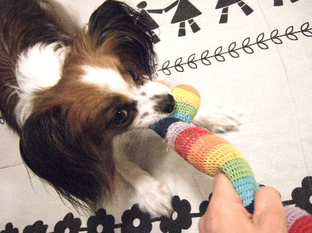 c0044199_23133332.jpg