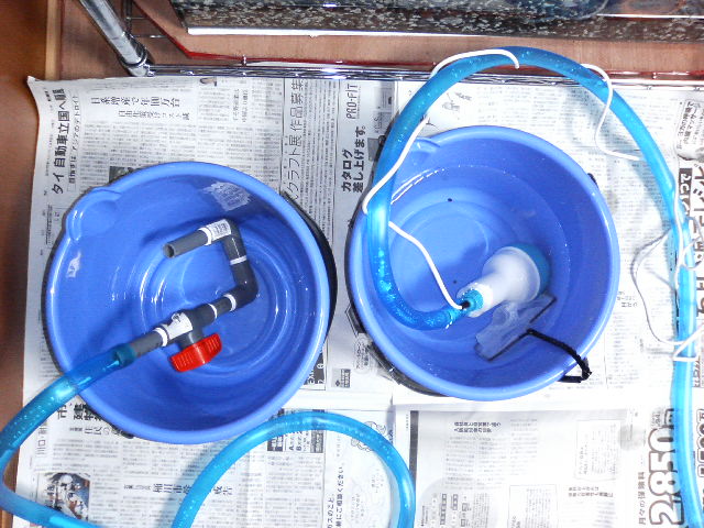 e0010301_1636414.jpg