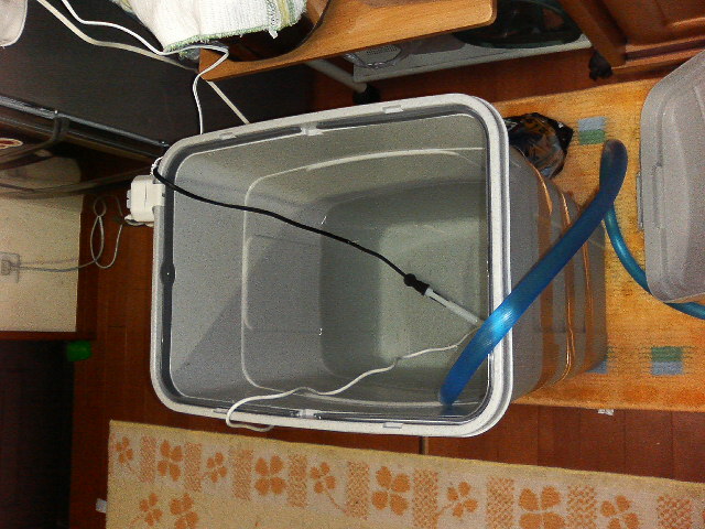 e0010301_1652493.jpg