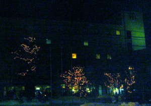 f0020302_12484147.jpg