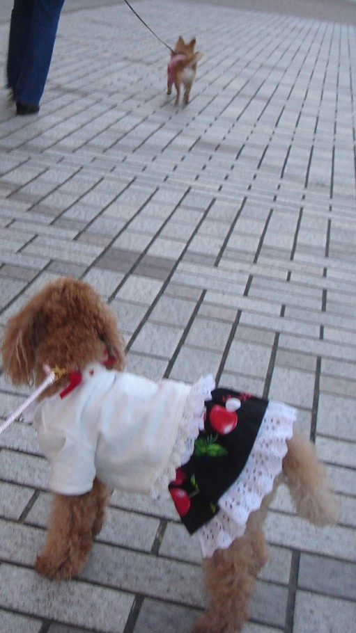 c0041207_1321237.jpg