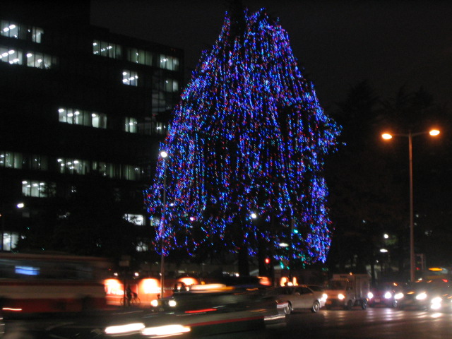 a0030217_602744.jpg