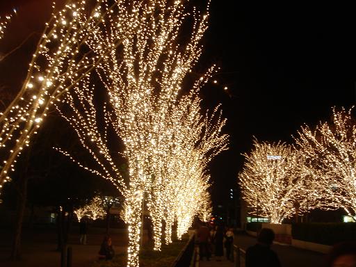 f0002322_22255554.jpg