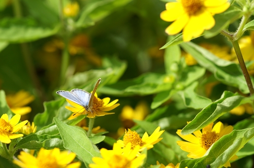 a0053732_2015969.jpg