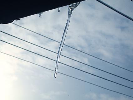 c0000134_17482868.jpg