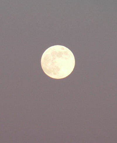 b0015260_17351964.jpg