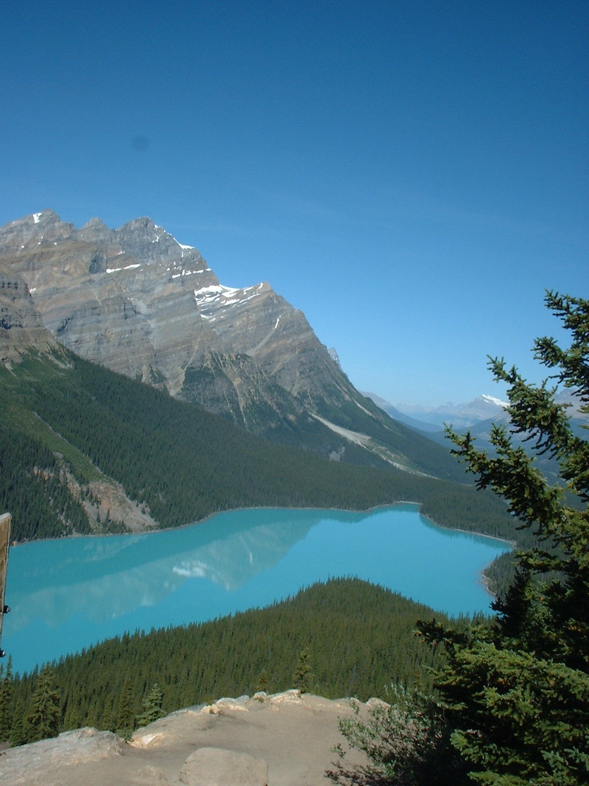 b0061261_22444274.jpg
