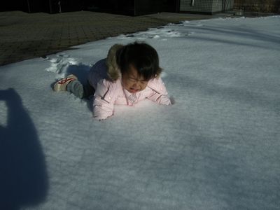 c0046361_21364390.jpg