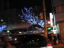 b0050272_2071948.jpg