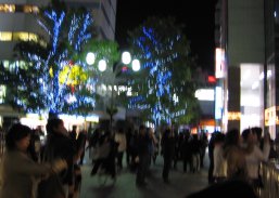 b0050272_207471.jpg