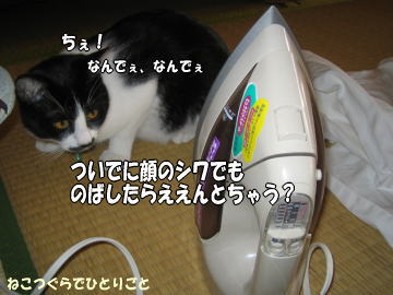b0041182_9493976.jpg