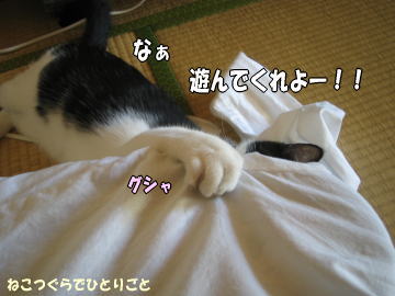 b0041182_9521370.jpg