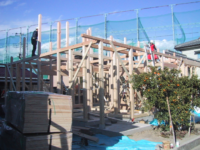 c0066693_964971.jpg