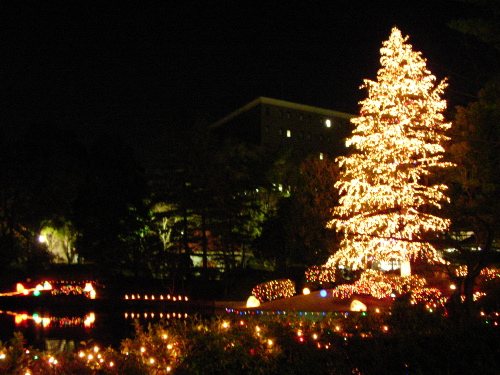 c0034396_21484538.jpg