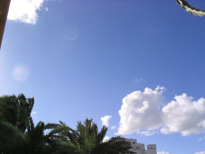 e0041400_15365080.jpg