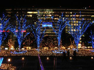 b0053414_0224475.jpg