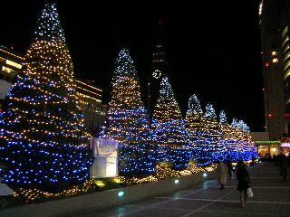 b0053414_023870.jpg