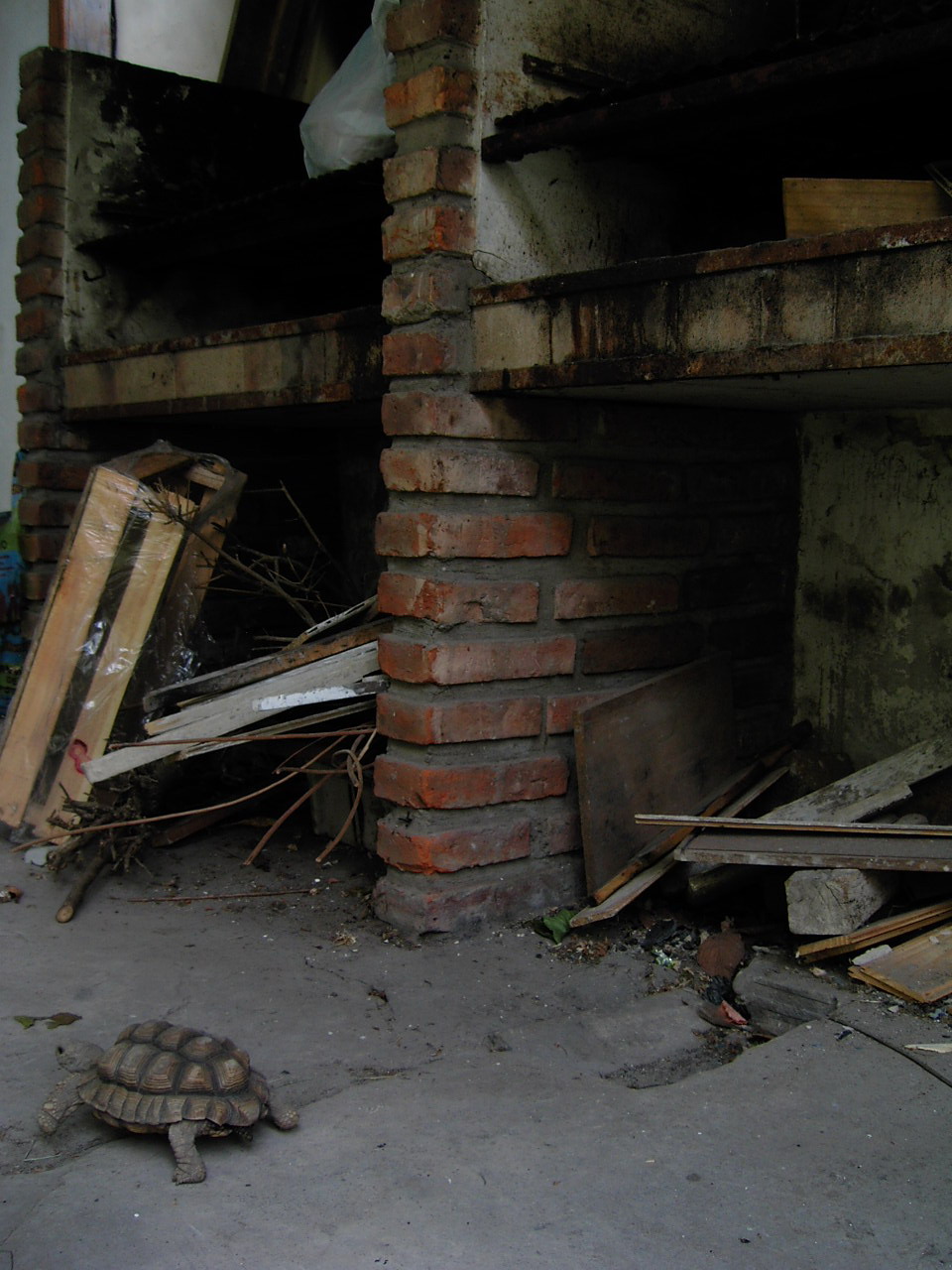 d0035721_821324.jpg