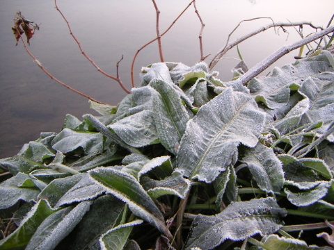 a0016829_842747.jpg