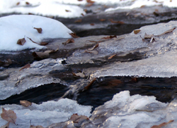 e0009049_16265644.jpg