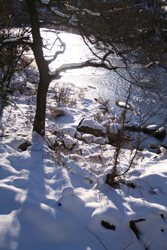 e0009049_1630125.jpg