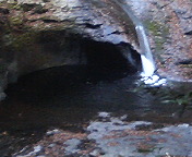 a0042352_1142630.jpg