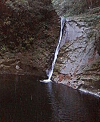 a0042352_11441245.jpg