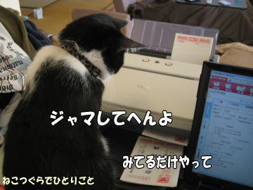 b0041182_983871.jpg