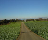 c0008598_189313.jpg