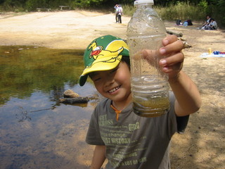 f0013998_1131866.jpg
